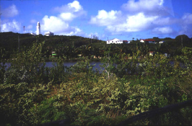 Lighthouse and part of Dixon Hill Settlement